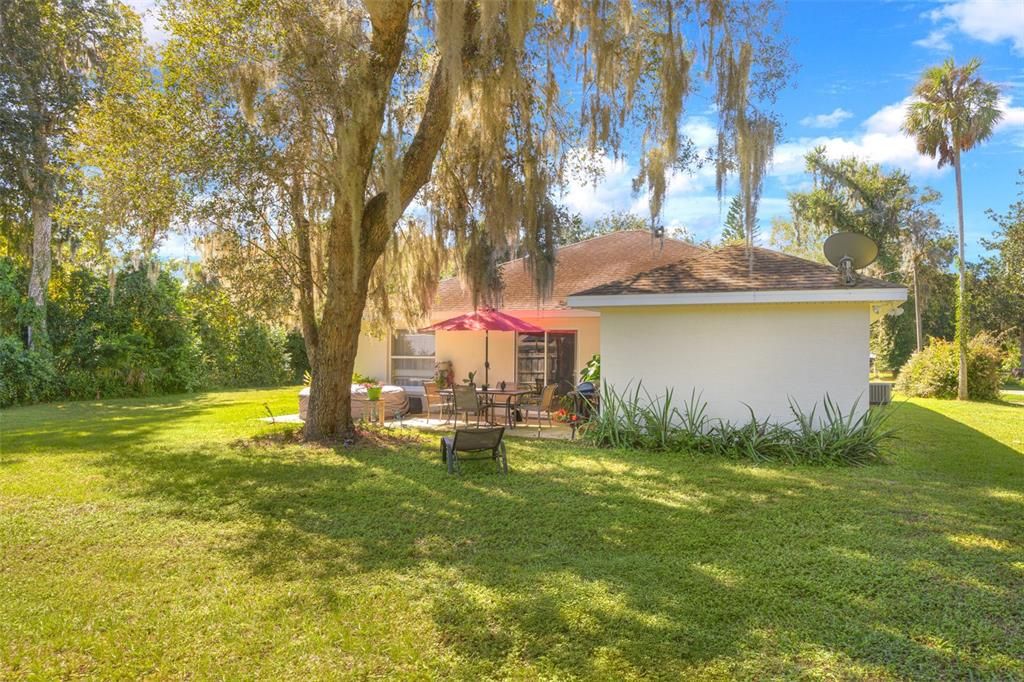 Backyard, Exterior, Playground