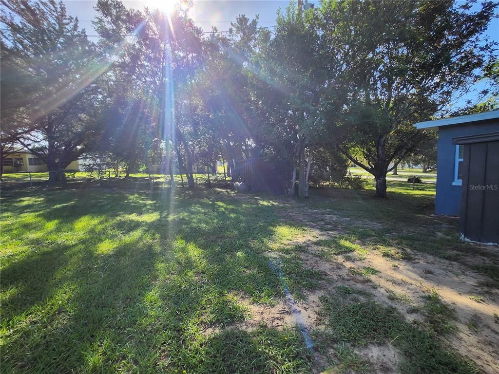 Backyard, Exterior