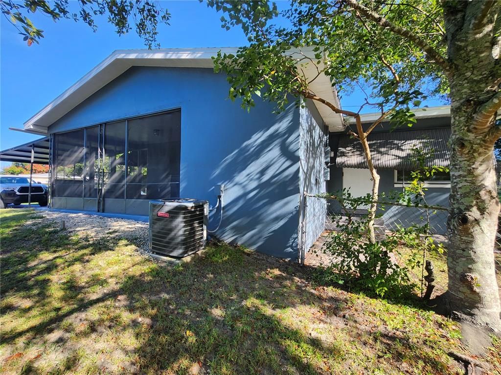 Backyard, Exterior