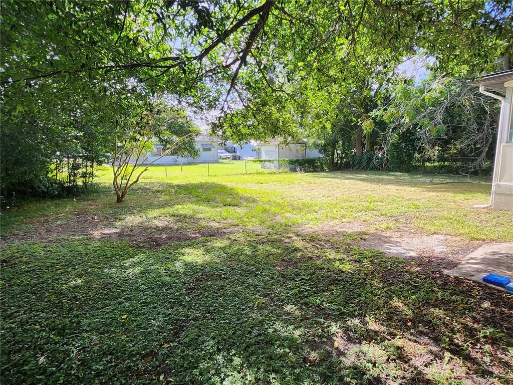 Backyard, Exterior