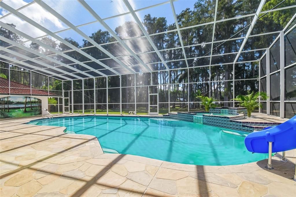 Glass Ceilings, Interior, Pool, Sun Room