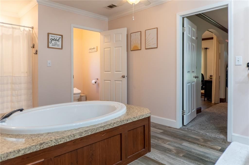 Bathroom, Interior, Wood Texture Flooring