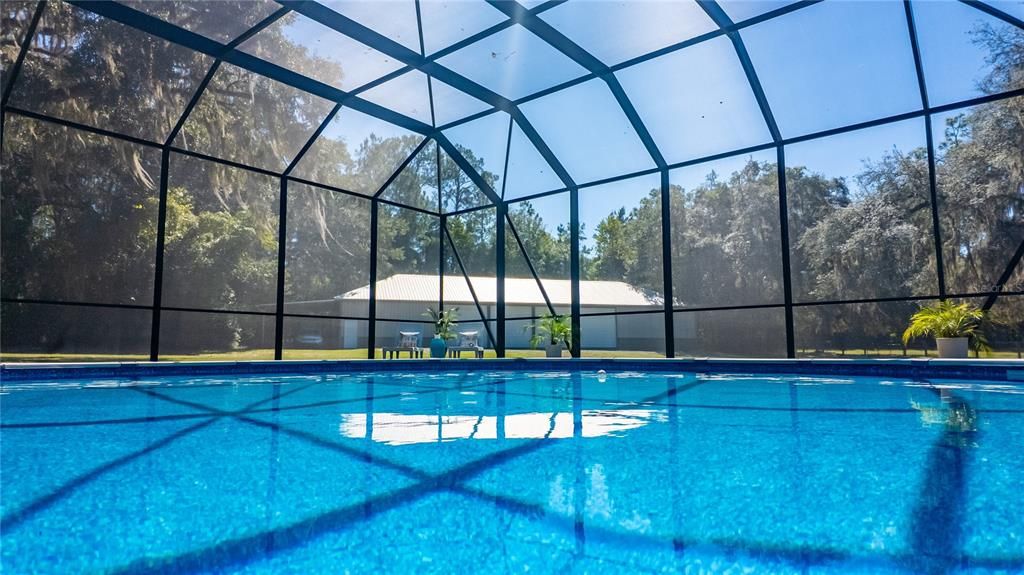 Glass Ceilings, Interior, Pool, Sun Room