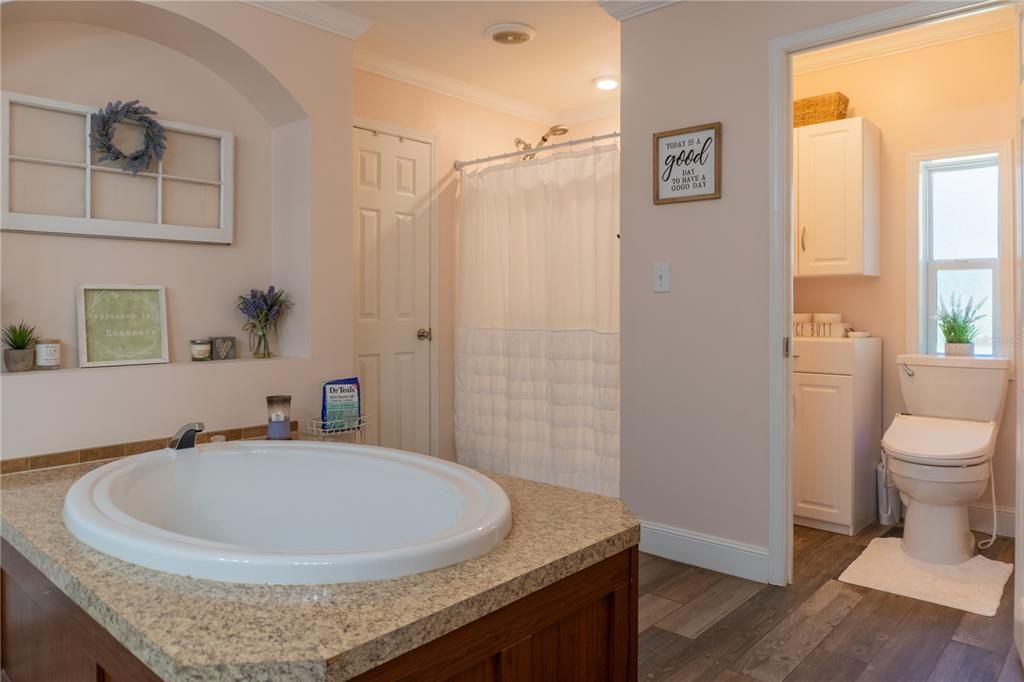 Bathroom, Interior, Recessed Lighting, Wood Texture Flooring