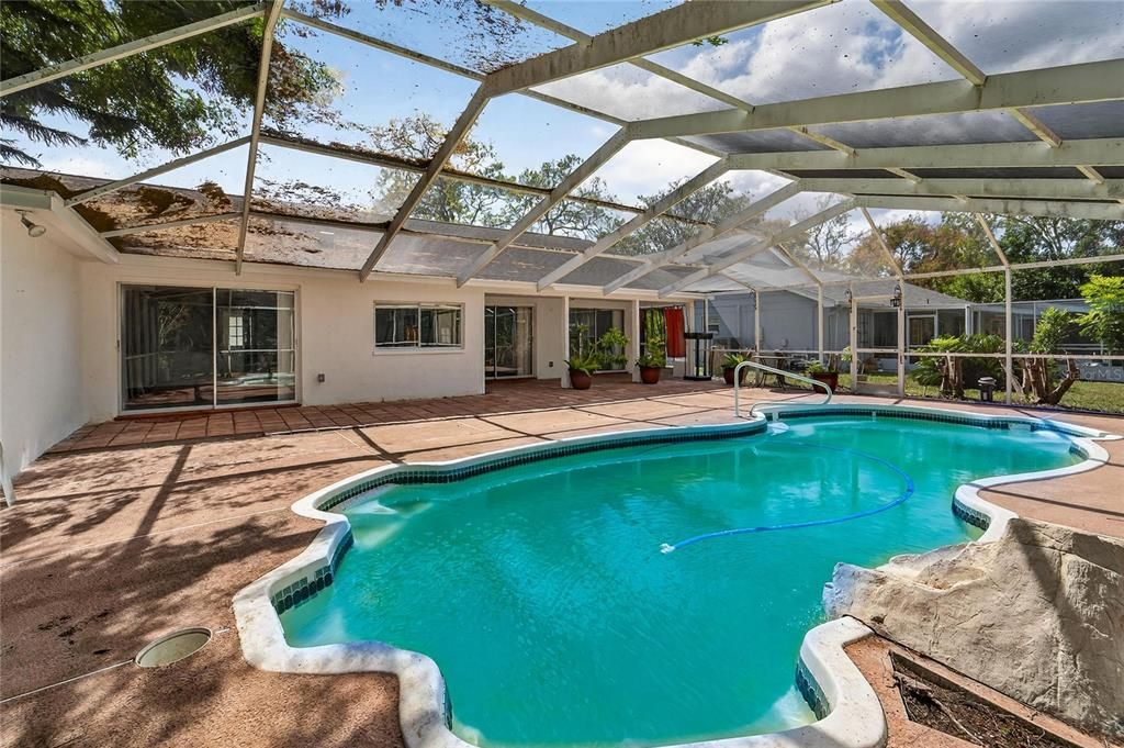Glass Ceilings, Interior, Pool, Sun Room
