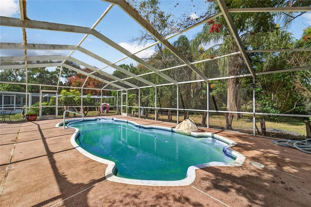 Glass Ceilings, Interior, Pool, Sun Room