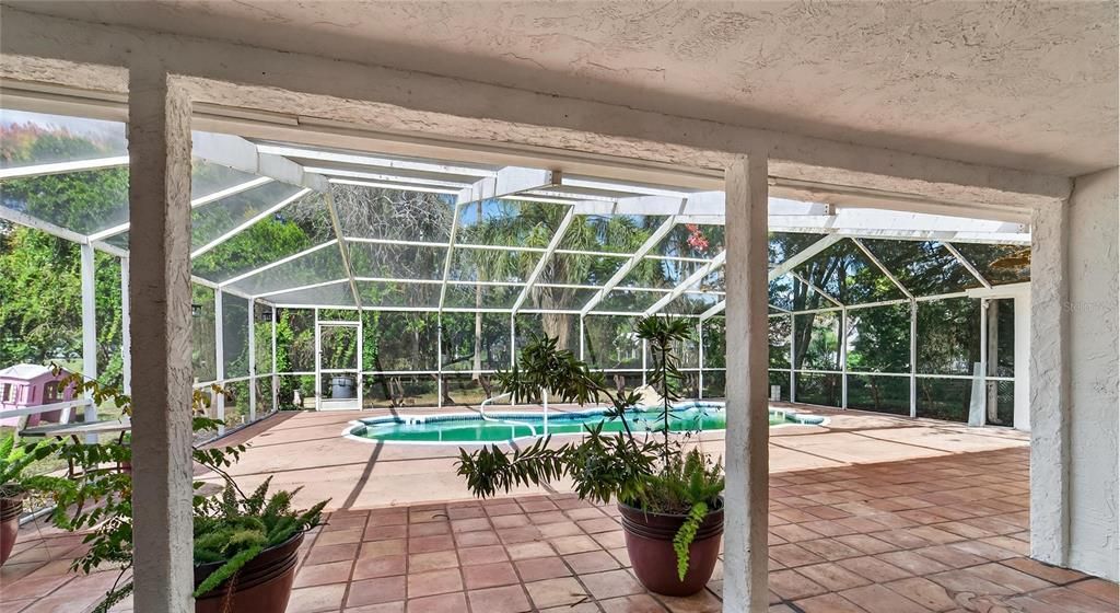 Glass Ceilings, Interior, Pool, Sun Room