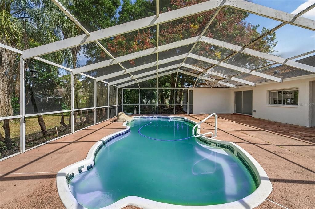 Glass Ceilings, Interior, Pool, Sun Room