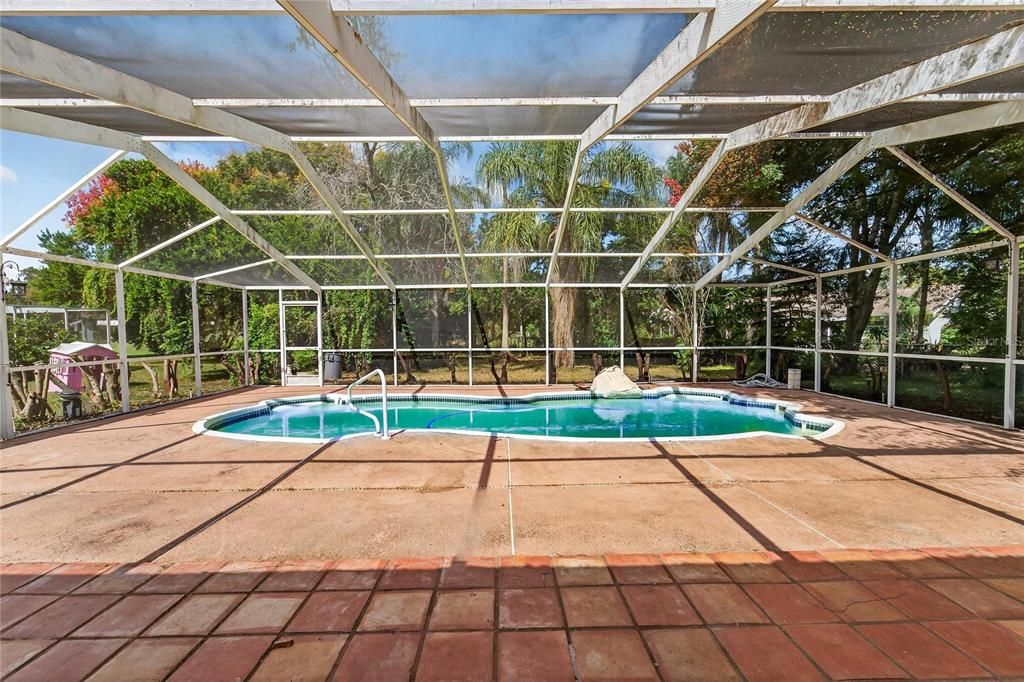 Glass Ceilings, Interior, Pool, Sun Room