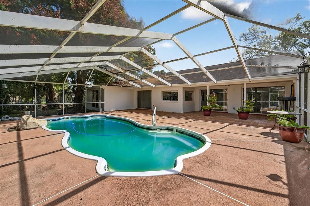 Glass Ceilings, Interior, Pool, Sun Room