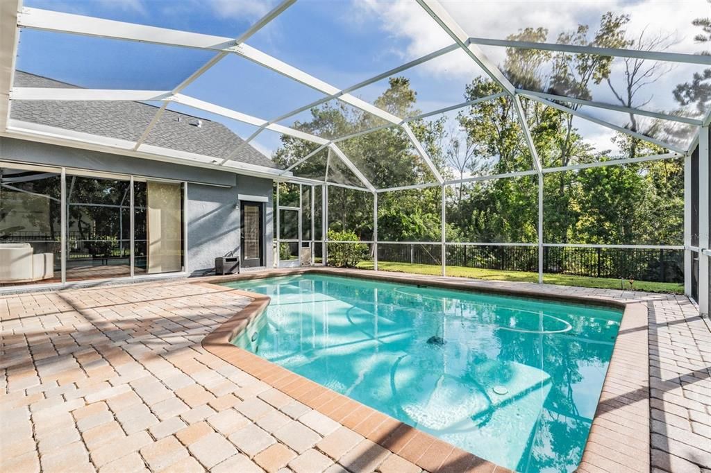 Glass Ceilings, Interior, Pool, Sun Room