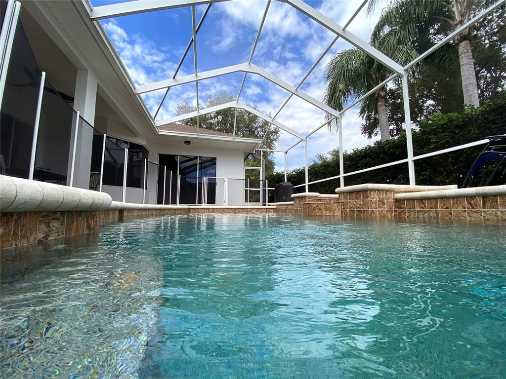 Glass Ceilings, Interior, Pool, Sun Room