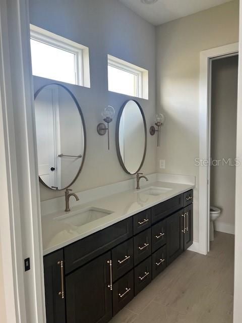 Bathroom, Dual Sink Vanities, Interior, Wood Texture Flooring