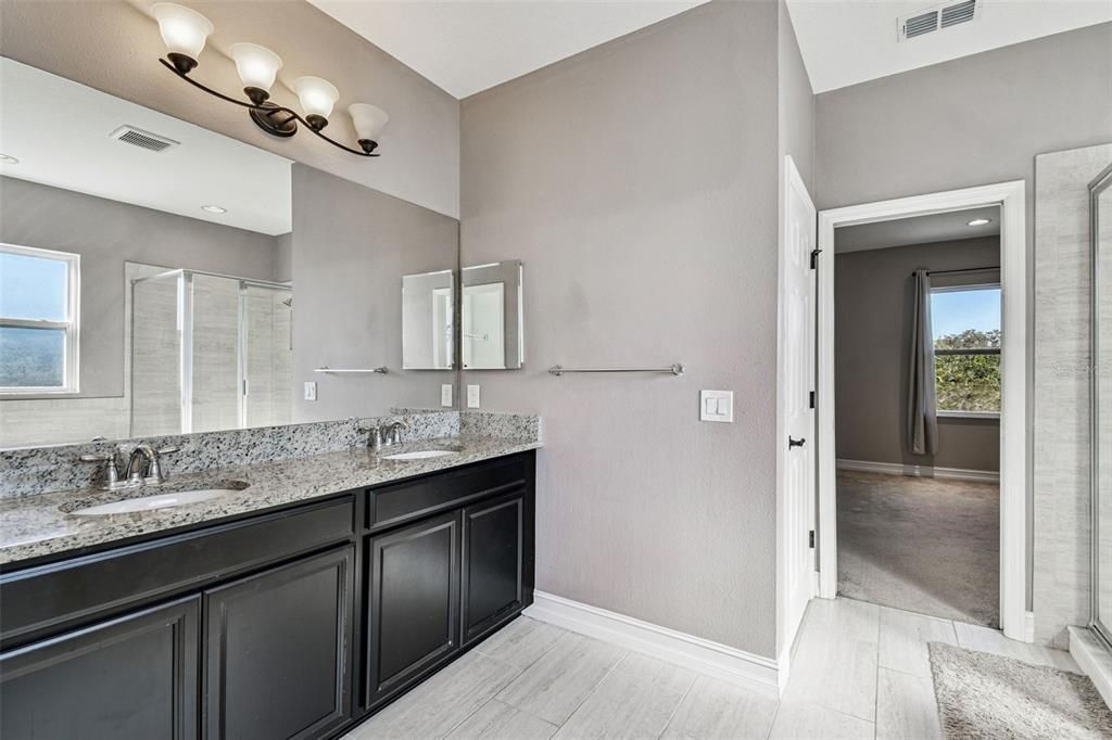 Bathroom, Dual Sink Vanities, Interior, Wood Texture Flooring