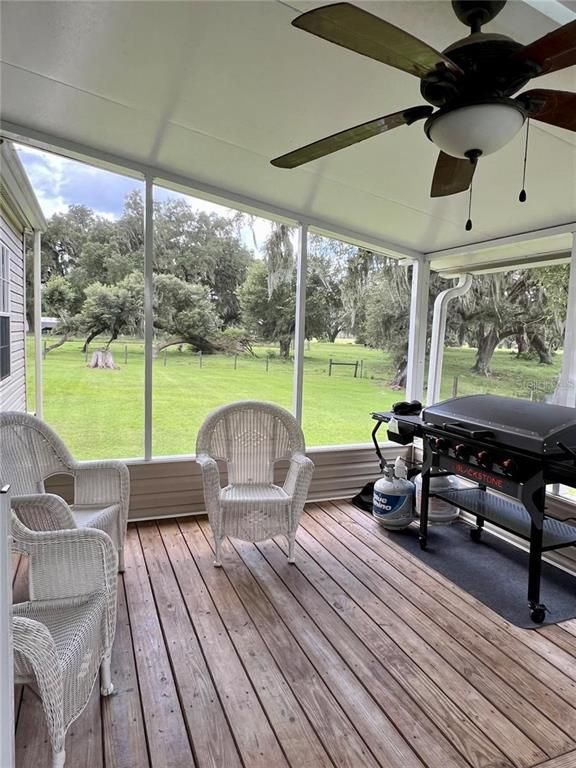 Interior, Sun Room, Wood Texture Flooring