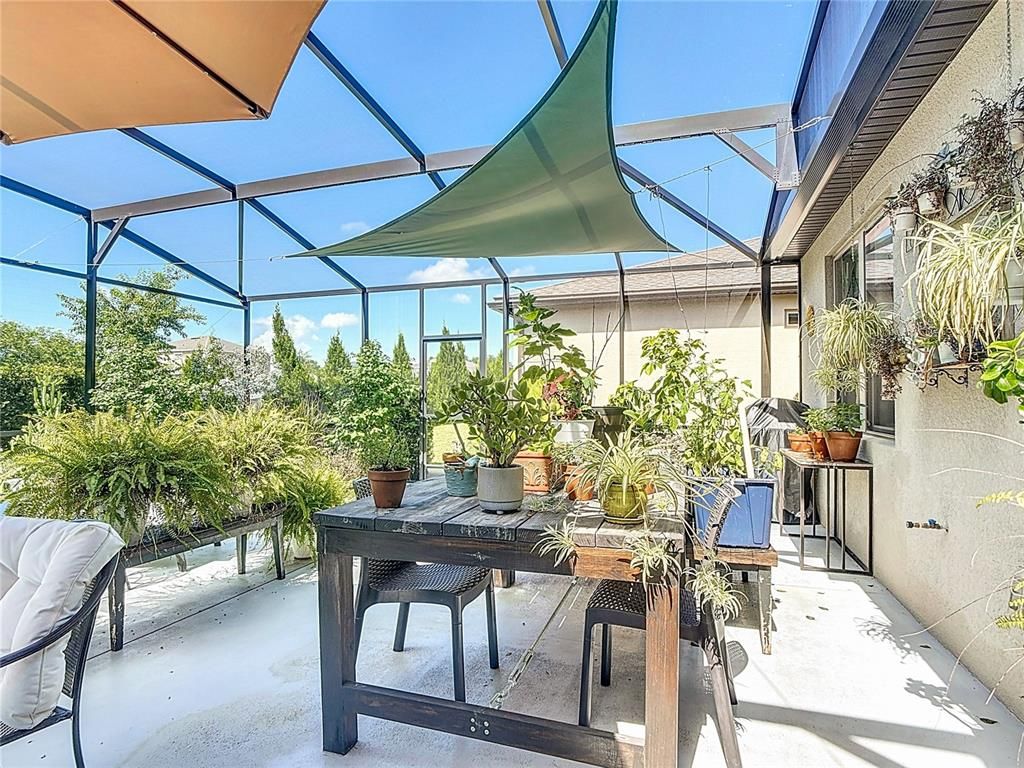 Glass Ceilings, Interior, Sun Room
