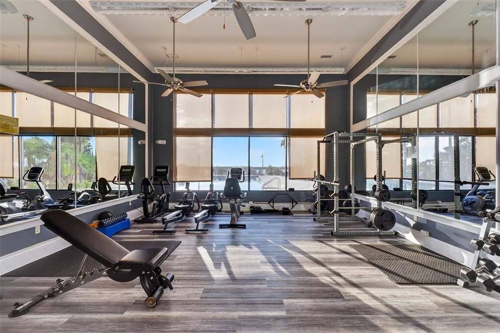 Fitness Equipment, Gym, Interior, Wood Texture Flooring