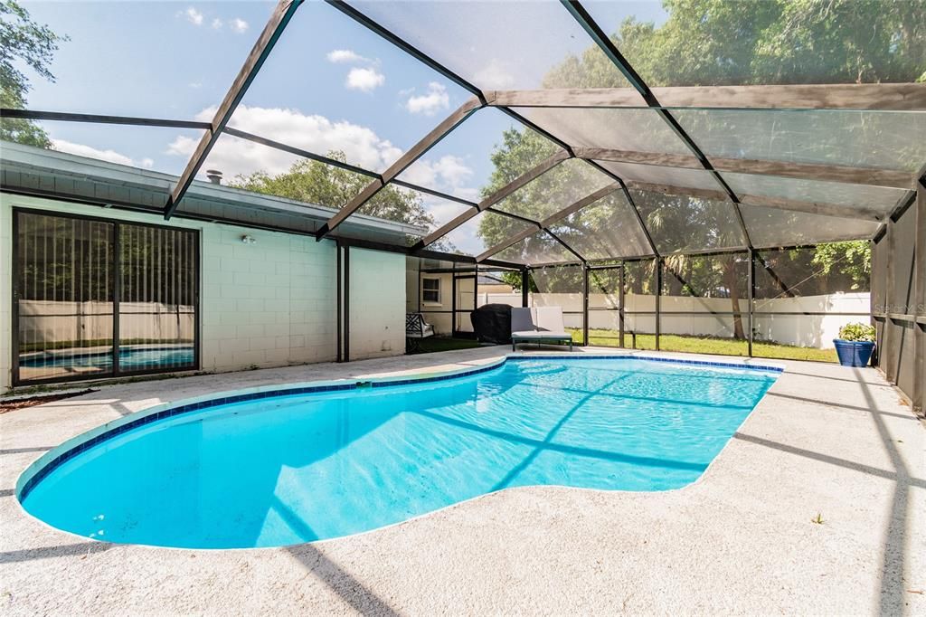 Glass Ceilings, Interior, Pool, Sun Room