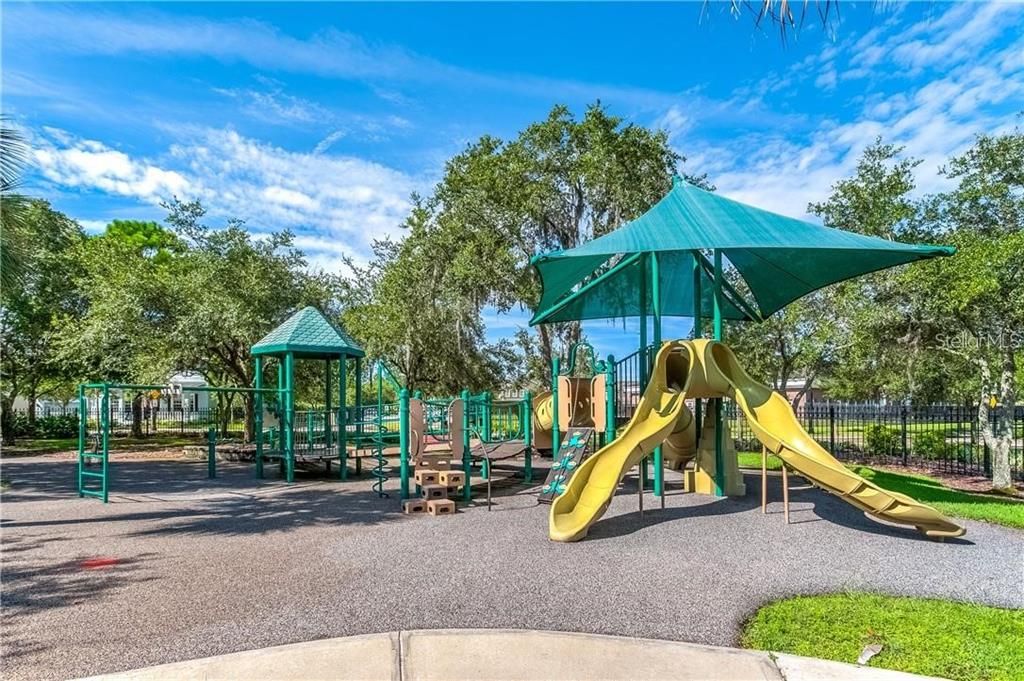 Backyard, Exterior, Playground