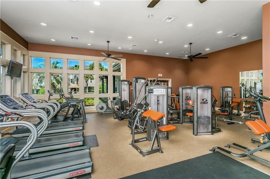 Fitness Equipment, Gym, Interior, Recessed Lighting