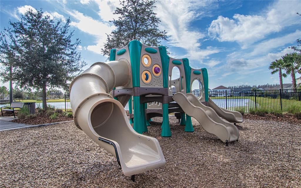 Backyard, Exterior, Playground