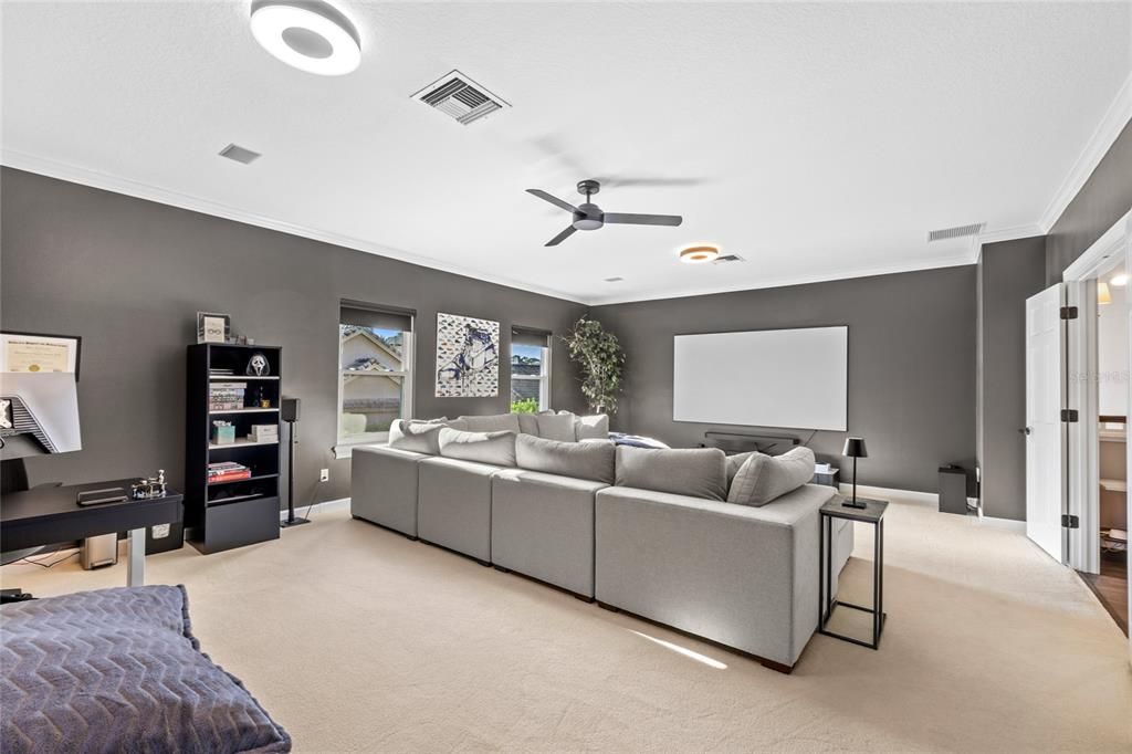 Interior, Living room, Projection Screen