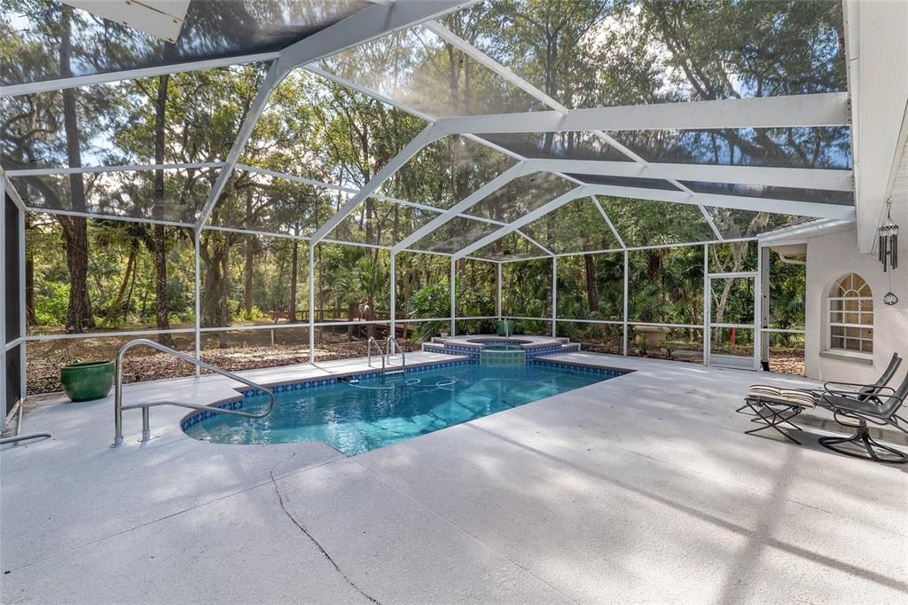 Glass Ceilings, Interior, Pool, Sun Room