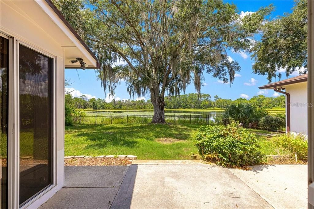 Backyard, Exterior, Water