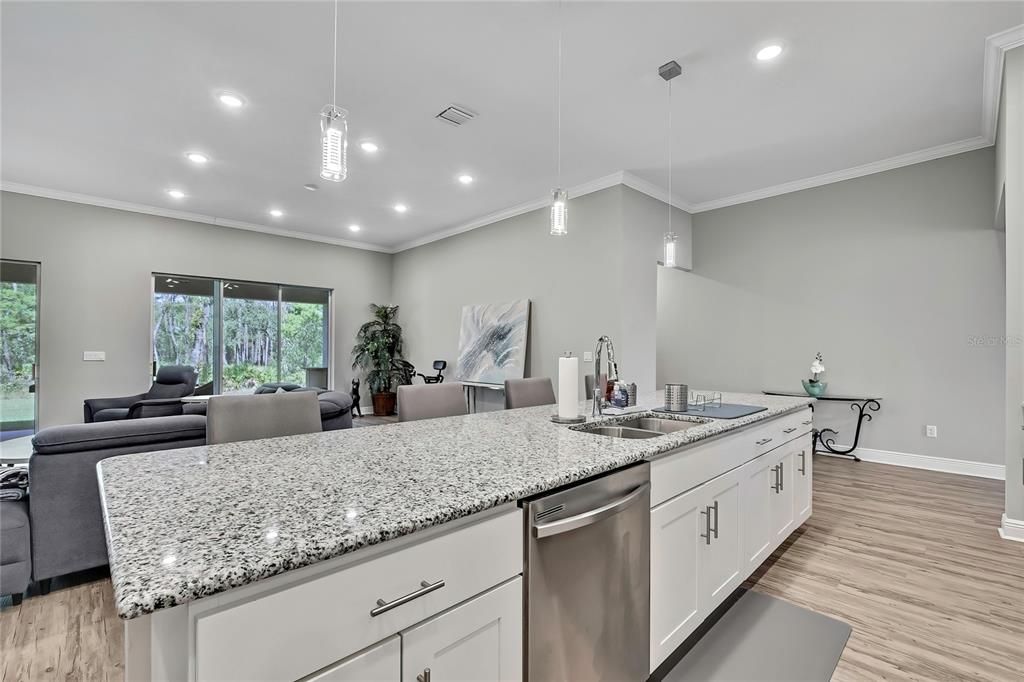 Interior, Kitchen, Living room, Pendant Lights, Recessed Lighting, Stainless Steel Appliances, Wood Texture Flooring