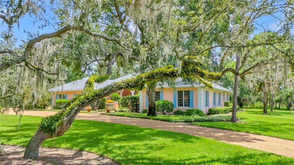 Backyard, Exterior, Facade, Ranch