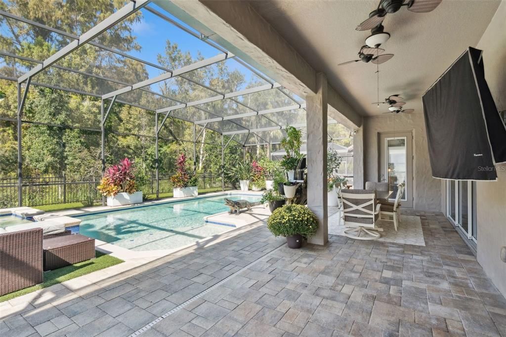 Glass Ceilings, Interior, Pool, Sun Room