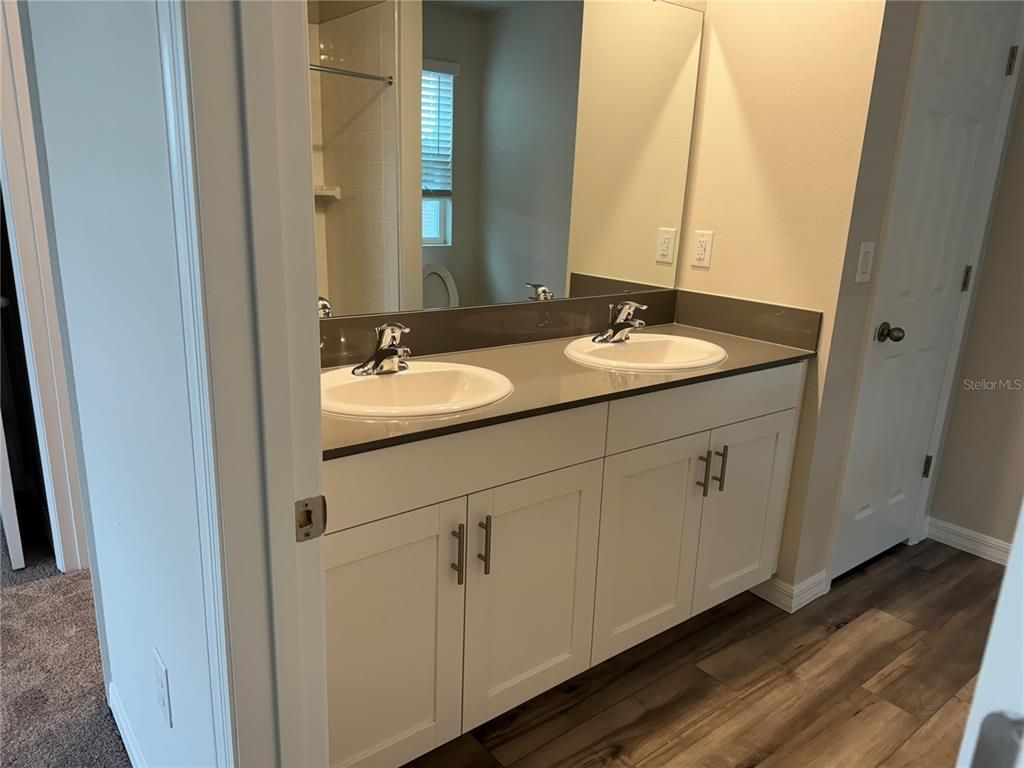 Bathroom, Dual Sink Vanities, Interior, Wood Texture Flooring