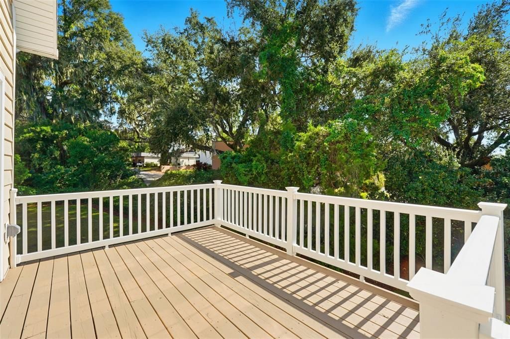 Exterior, Wood Texture Flooring