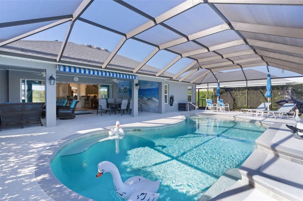 Glass Ceilings, Interior, Pool, Sun Room