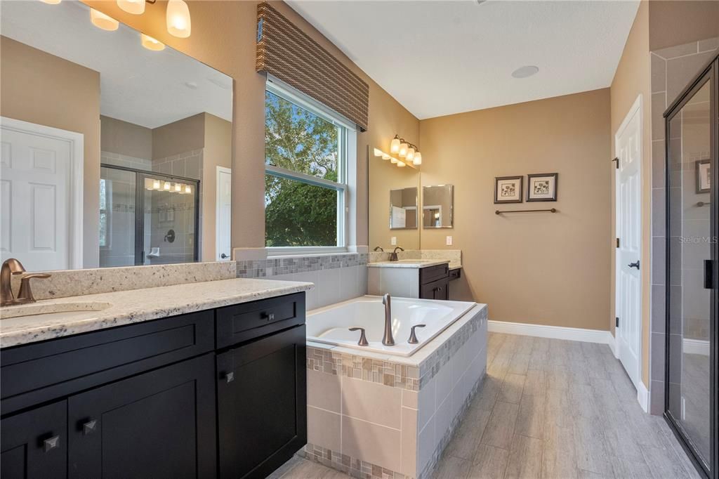 Bathroom, Dual Sink Vanities, Interior, Wood Texture Flooring