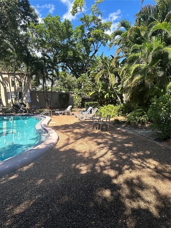 Backyard, Exterior, Pool