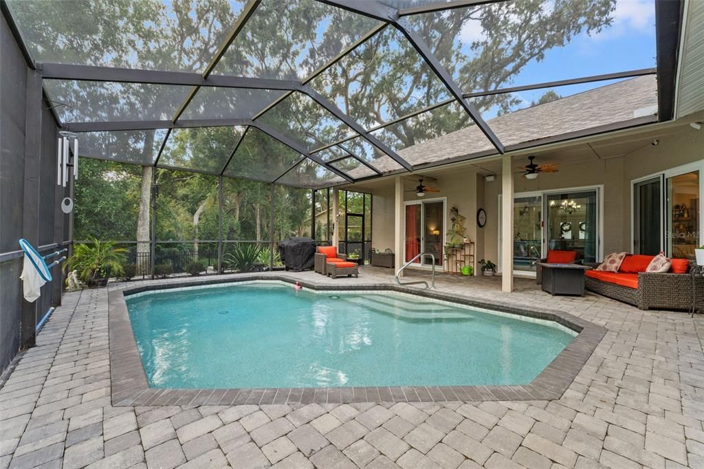 Glass Ceilings, Interior, Pool, Sun Room