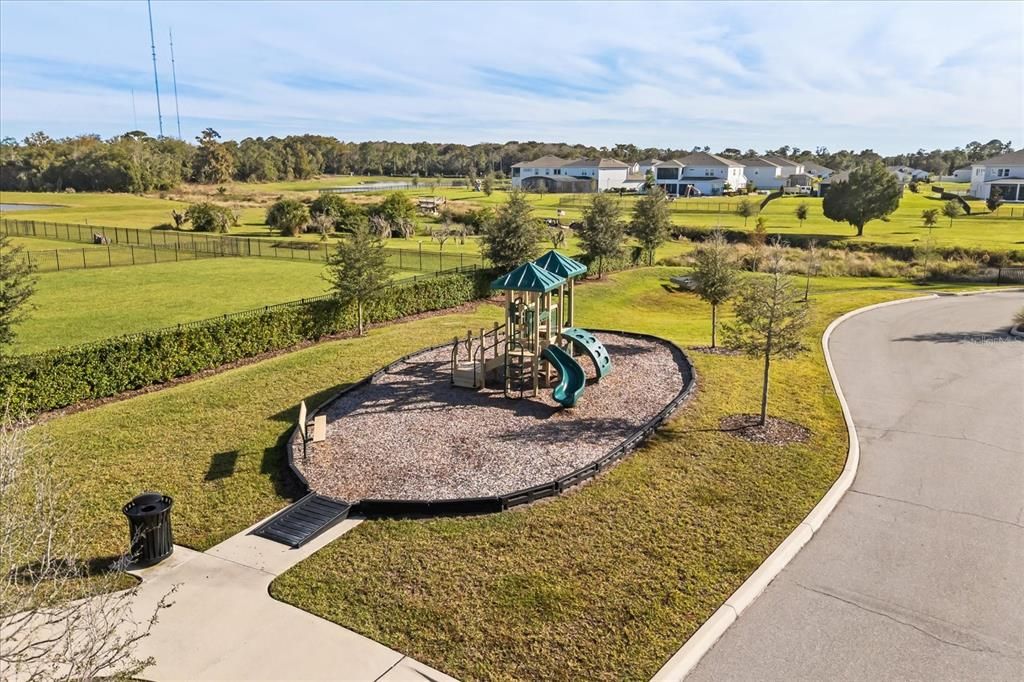 Backyard, Exterior, Playground