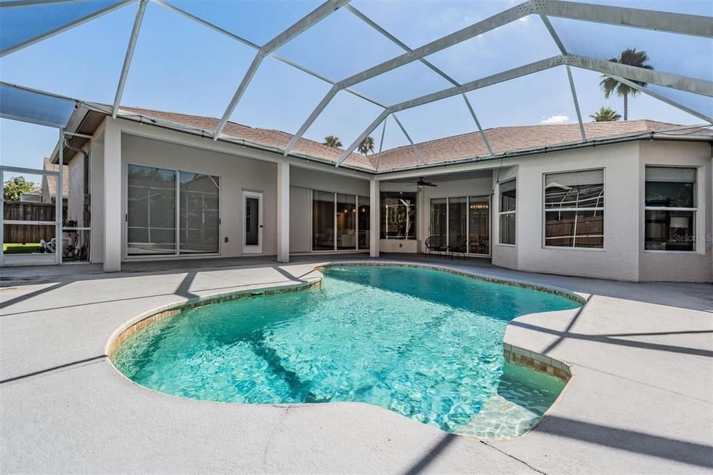 Glass Ceilings, Interior, Pool, Sun Room