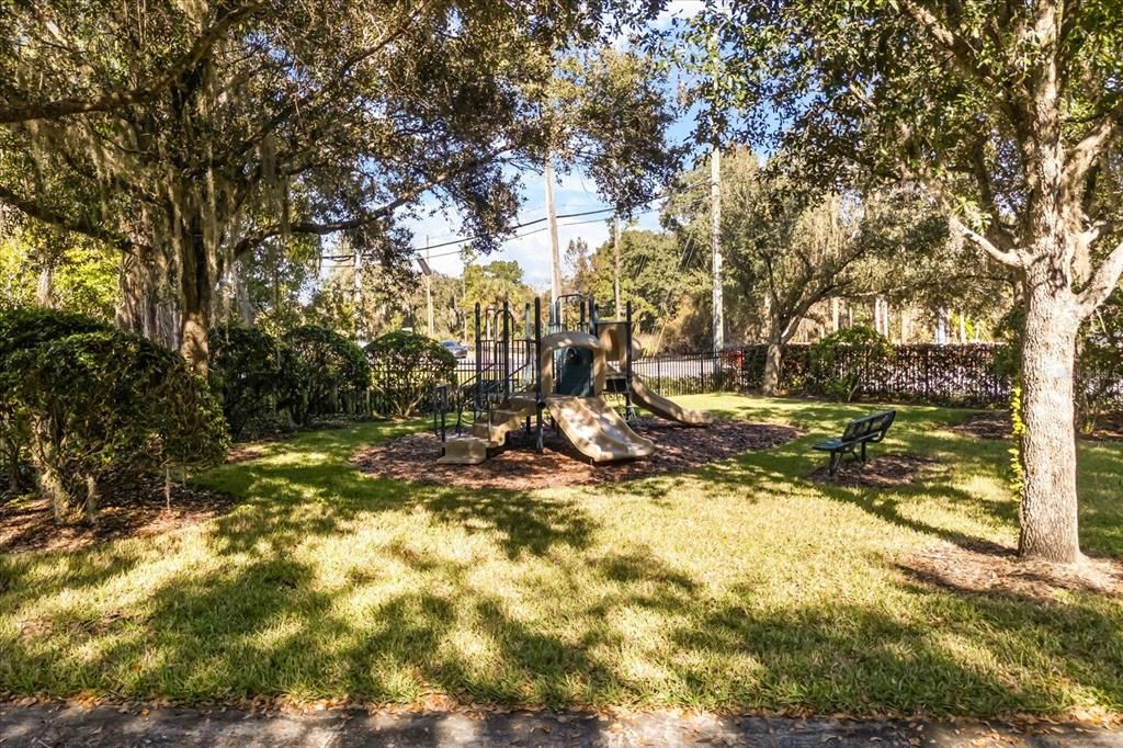 Backyard, Exterior, Playground