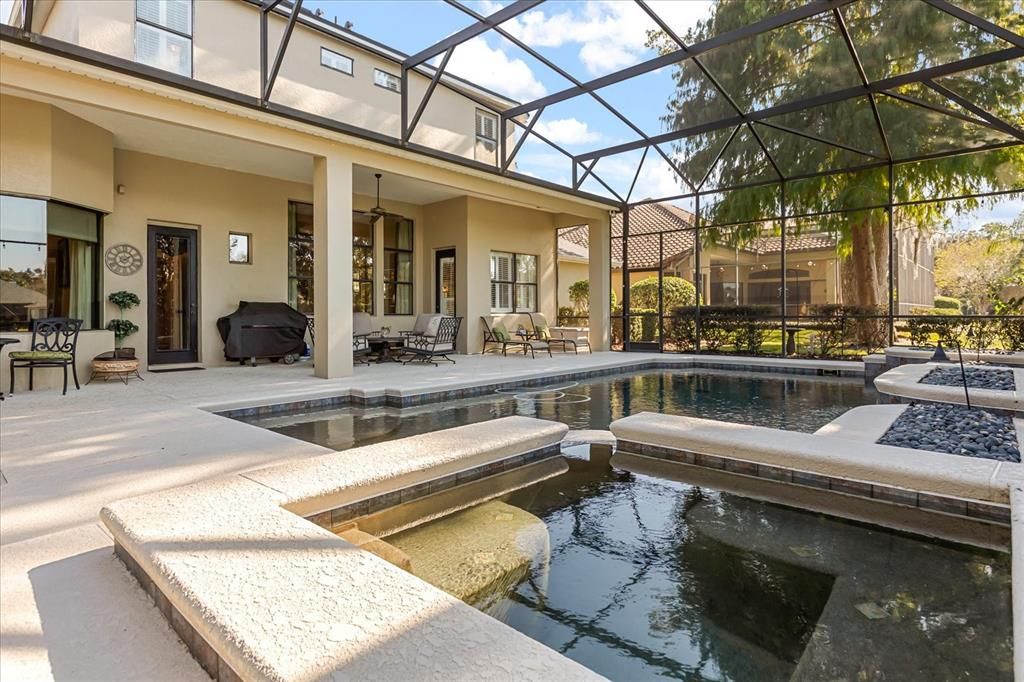 Glass Ceilings, Interior, Pool, Sun Room
