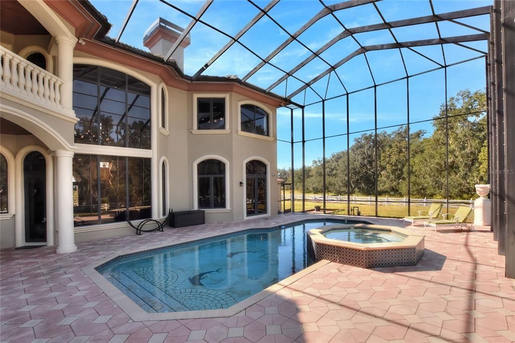 Glass Ceilings, Interior, Pool, Sun Room
