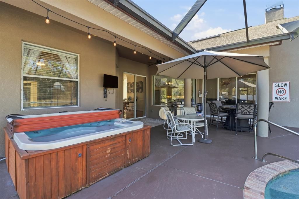 Glass Ceilings, Hot Tub, Interior, Sun Room