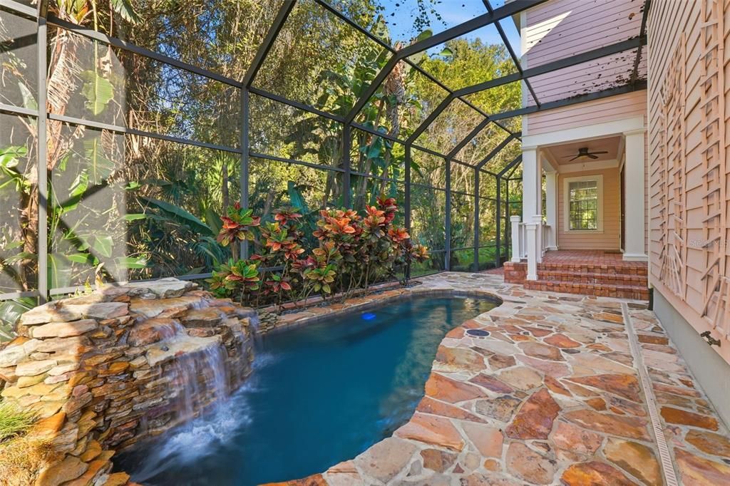 Glass Ceilings, Interior, Pool, Sun Room