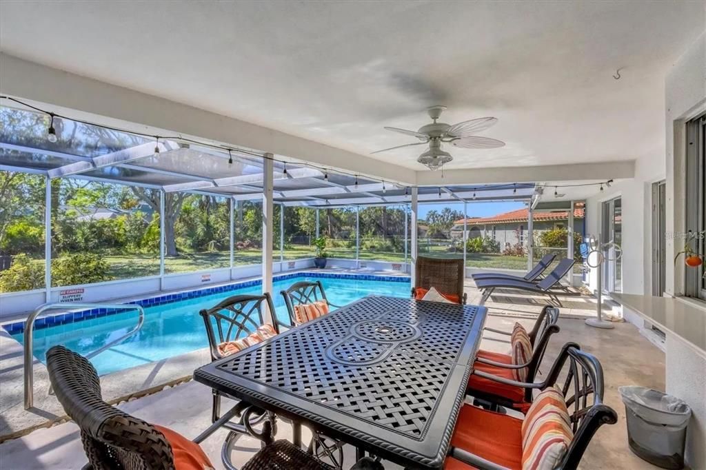 Glass Ceilings, Interior, Pool, Sun Room