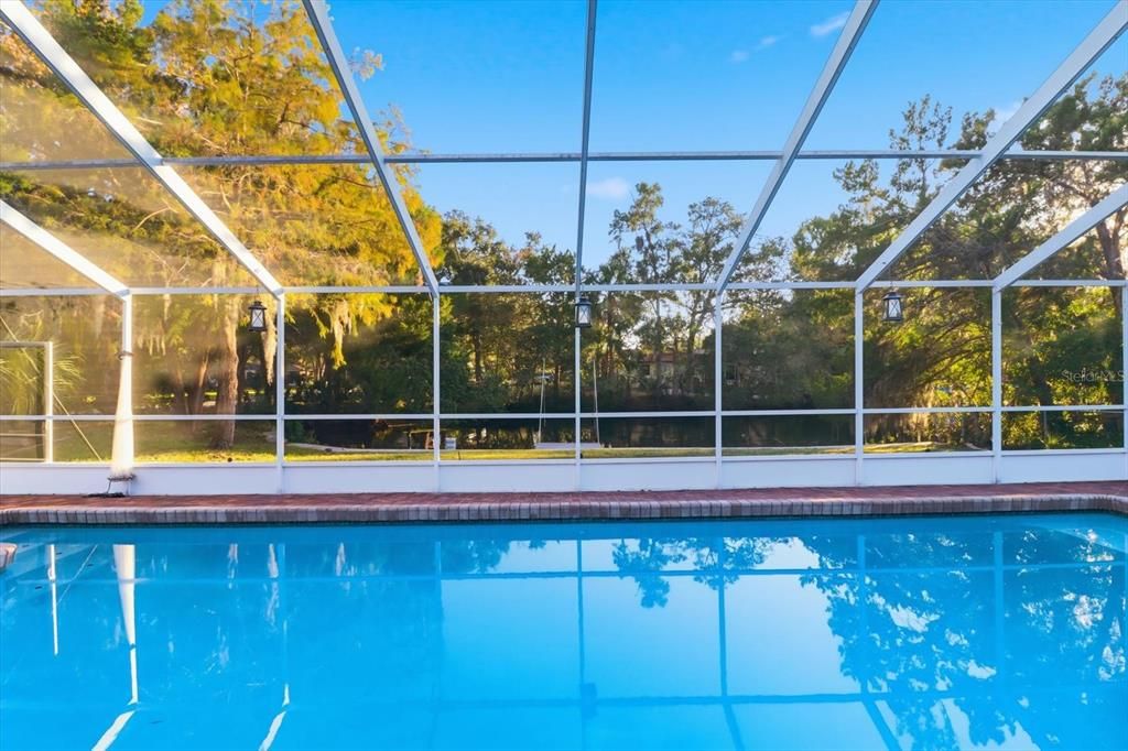 Glass Ceilings, Interior, Pool, Sun Room