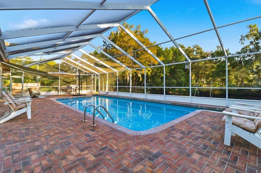 Glass Ceilings, Interior, Pool, Sun Room