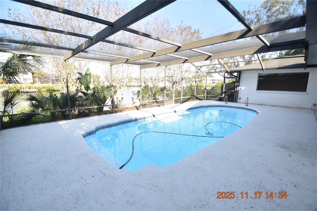 Glass Ceilings, Interior, Pool, Sun Room