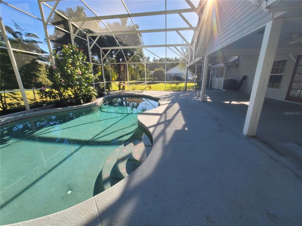 Glass Ceilings, Interior, Pool, Sun Room