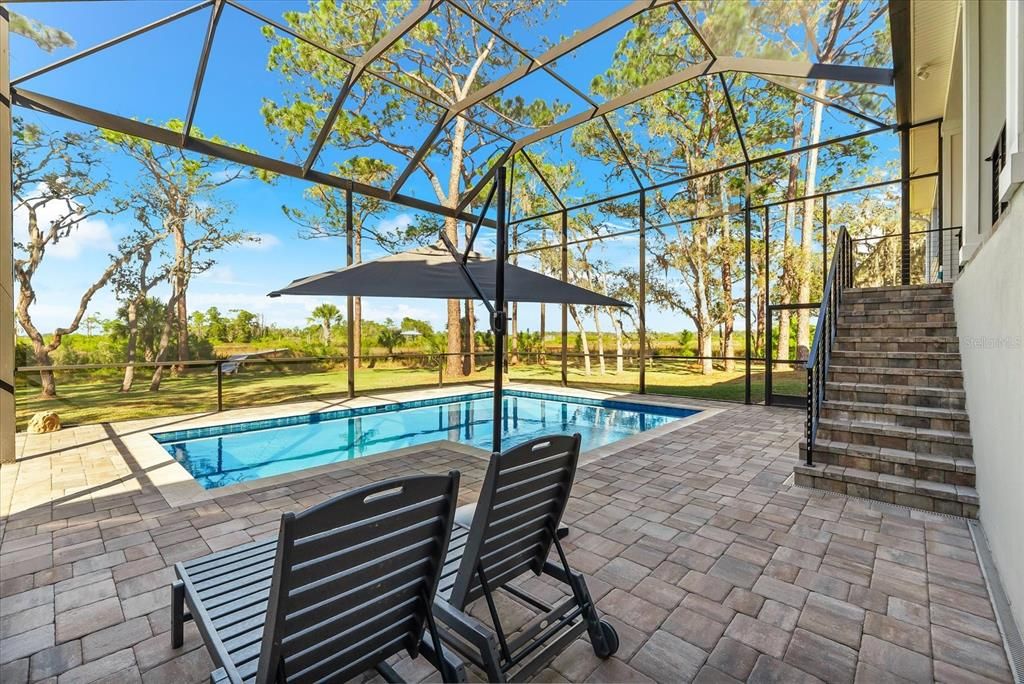 Glass Ceilings, Interior, Pool, Sun Room